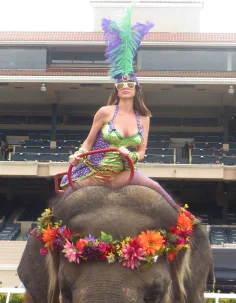 Brooklyn Chase Brooklyn Chase 500th 3 Of 3 01