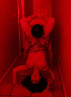 Lily Lane Lily Lane Moving On 21